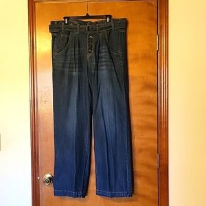 Maurices, Dark Blue, Plus Size 14W